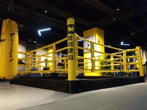 Fightbro RFD Anneau <span class=keywords><strong>de</strong></span> <span class=keywords><strong>boxe</strong></span> pliable - Product Image 5