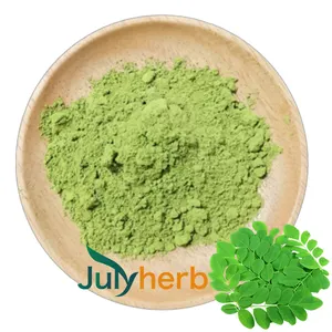 Julyherb Reliable Quality ISO Certificated Moringa oleifera leaf extract powder 10:1