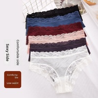 Celana Dalam Wanita ODM Pabrik Kustom, Renda Prancis Solid, Pinggang Sedang, Sporty, Tipis, Ringan, Bernapas, Lembut, Bahan Nilon Katun, Nyaman