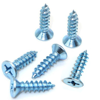 Vis autotaraudeuses en acier inoxydable métrique DIN, finition zinguée, vis autoperceuses M3 M4 M5 M6 personnalisables 10mm 20mm 12mm