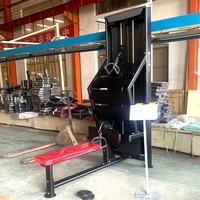 Máquina de entrenamiento de fuerza de grado comercial N36 para ejercicios de espalda, equipo de gimnasio personalizable con doble tirador largo y remo bajo
