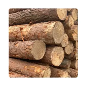 Wholesale Custom 100% raw Pine Wood Logs Best Price High Quality Vietnam Product Teak wood round logs for sale