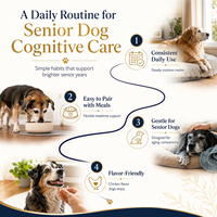 Complément Liquide NMN NAD+ Marque Blanche pour Chiens Seniors – Soutien à la Mémoire et à la Clarté Mentale – Formule Saveur Poulet