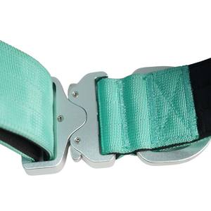 Collier pour chien en nylon vert clair réglable avec rubans, design moderne, tissu rembourré confortable, boucle en alliage d'aluminium argenté avec anneau en D pour - Product Image 5