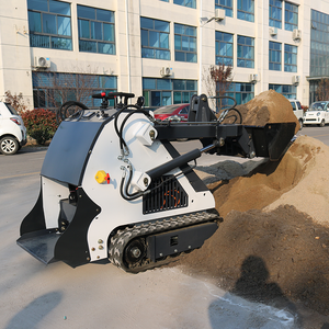 Minicargadora Compacta Personalizada, Maquinaria de Construcción Multifuncional, Transportador, Pala Eléctrica sobre Orugas - Product Image 6