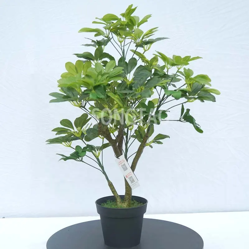 songtao Wholesale Latest Landscape Artificial Plants Tree Office Home Decoration Plastic Plants Bonsai Tree Garden Decoration