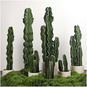 <span class=keywords><strong>Cactus</strong></span> artificiel pour la décoration intérieure, mini <span class=keywords><strong>cactus</strong></span> <span class=keywords><strong>pas</strong></span> <span class=keywords><strong>cher</strong></span>, plante artificielle d'intérieur, pot extérieur, arbres artificiels d'extérieur, <span class=keywords><strong>cactus</strong></span> - Product Image 2