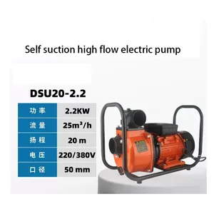 Pompe à eau <span class=keywords><strong>domestique</strong></span> auto-amorçante à haut débit 220V, pompe de surpression pour l'alimentation en eau <span class=keywords><strong>domestique</strong></span> et l'irrigation - Product Image 2