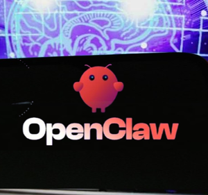 OpenClaw Premium per tecnici, supporta l'esecuzione di script, plugin personalizzati e sviluppo secondario per progetti tecnici - Product Image 1