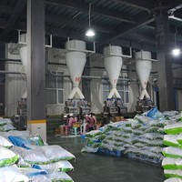 Semi couleur quotidienne de bleu de ciel de poudre de détergent de blanchisserie de poudre des produits d'entretien de finition 15kg