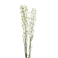Bouquet de fleurs séchées de Tagetes Patula, blanc et violet, 50-60 cm, arrangement durable pour vase, décoration de Noël, de Pâques et de la maison
