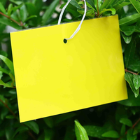 Pièges collants jaunes double face essentiels pour le contrôle des ravageurs du jardin, sûrs et non toxiques pour les fleurs, les légumes et les succulentes