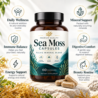 Capsules de Mousse de Mer Végétaliennes – Produits de Beauté à base de Mousse de Mer Irlandaise, Fucus et Racine de Bardane pour la Peau, les Cheveux et les Ongles – Avec Vinaigre de Cidre de Pomme