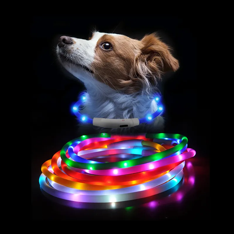2024 สุนัขอุปกรณ์เสริมกันน้ําสัตว์เลี้ยงกระพริบ Light Up ปลอกคอสุนัข USB ชาร์จ Night ความปลอดภัยส่องสว่างเรืองแสง LED ปลอกคอสุนัข