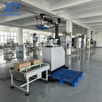 Système de palettisation collaboratif automatique, Palettiseur de boîtes compact, Machine d'empilage de cartons pour l'emballage en fin de ligne
