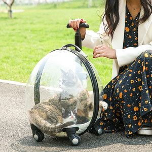 Chariot de transport <span class=keywords><strong>pour</strong></span> animaux de compagnie en plastique portable de luxe, avec roues, transparent, capsule spatiale solide, <span class=keywords><strong>poussette</strong></span> <span class=keywords><strong>pour</strong></span> chien et <span class=keywords><strong>chat</strong></span> <span class=keywords><strong>pour</strong></span> les voyages en plein air - Product Image 6