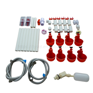 Nuevo sistema de alimentación completo superventas transfronterizo: bebedero automático de niple <span class=keywords><strong>para</strong></span> pollos con copa de agua y conector en T de PVC - Product Image 4