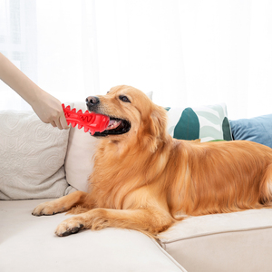 Giocattoli da Masticare per Cani Interattivi ed Ecologici in TPR Non Tossico con Pulizia dei Denti e Design Cartoon Resistente - Product Image 5