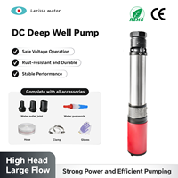 Pompa Celup Mini Stainless Steel Cast Iron untuk Industri Otomotif, Mobil, dan Camping, OEM, Bagian Bawah Dapat Dilepas, 12V 24V, Transfer Air