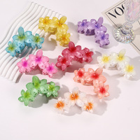 Vente chaude, pinces à cheveux en plastique colorées, style estival, 11 cm, pour femmes, accessoires de cheveux pour fête d'été