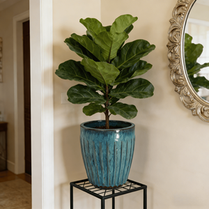 Maceta de Cerámica Estilo Americano, Azul Turquesa Glaseado con Rayas Verticales, Ecológica y Duradera, para Uso en Interiores del Hogar - Product Image 2