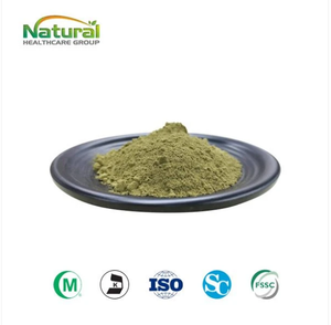 Poudre d'herbe d'orge de qualité cosmétique, riche en chlorophylle, extrait de feuilles d'<span class=keywords><strong>Hordeum</strong></span> Vulgare <span class=keywords><strong>L</strong></span>., conditionnée sous vide en fût, fournie directement par <span class=keywords><strong>l</strong></span>'usine - Product Image 1
