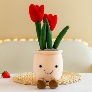 Juguete de Peluche Personalizado de Planta Suculenta en Maceta para Decoración de Oficina y Hogar - Product Image 3