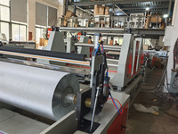 Machine matérielle de stratification de revêtement d'extrusion de paquet de papier de nourriture