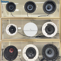 Thinuna MS-10SUB-T II Home cinéma fond musique système de sonorisation salon Surround plafond monté Subwoofer plafond haut-parleur