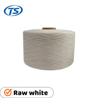 Taishi 6S 8S Waste Cotton Crochet Yarn White Recycled Melange Yarn for Weaving and Knitting Dyed Pattern Cotton Blended