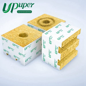 Trồng cà chua UPuper bằng phương pháp thủy canh thương mại trong nhà kính, sử dụng chất nền đá khoáng dạng khối 4x4 - Product Image 4