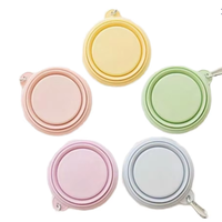 Bouteille d'eau pliable en silicone et plastique, anti-chute, automatique, pour chien et chat, 1000 ml, pour voyage et extérieur - Gamelle portable pour animaux de compagnie