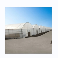 Projet clé en main de grande serre de film plastique d'arche à travée multiple pour la plantation de tomates PE durable pour la production de cultures agricoles