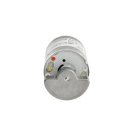 XYT Offres Spéciales R-370 personnalisé Mini vibrateur électrique à grande vitesse 6000/8500 tr/min moteur à courant continu masseur 6V 12V 24V bateau appareil ménager