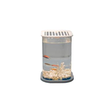 Klein Milieuvriendelijk Glazen Aquarium Met Luchtpomp En Nachtlampje 2.5l Desktop Aquarium Cadeau-Item - Product Image 3