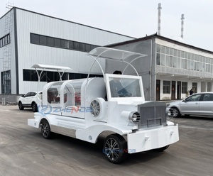 Factory Customized Vintage White Coffin Carriage Horse Wagon Antique Electric Buggy Electric Funeral Horse Hearse - Product Image 4