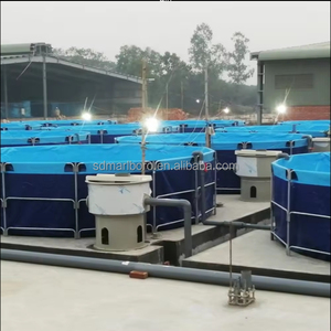 Vente de Système de Pisciculture en PVC de 5000l pour l'Élevage de Poissons Tilapia et <span class=keywords><strong>Grouper</strong></span>, Bassin d'Élevage de Poissons à Bas Prix - Product Image 6