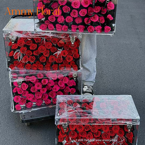 AM-PFE107 Ammy Rosa Stabilizzata in Scatola Acrilica Design Elegante da Giardino <span class=keywords><strong>Regalo</strong></span> <span class=keywords><strong>Romantico</strong></span> per la Festa della Mamma e <span class=keywords><strong>San</strong></span> <span class=keywords><strong>Valentino</strong></span> - Product Image 6