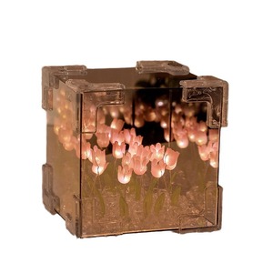Kit <span class=keywords><strong>de</strong></span> Manualidades DIY <span class=keywords><strong>de</strong></span> Cubos <span class=keywords><strong>de</strong></span> Acrílico con Diseño <span class=keywords><strong>de</strong></span> Campo <span class=keywords><strong>de</strong></span> Tulipanes, Estilo Moderno y Minimalista, Decoración Ambiental, Regalo para el Día <span class=keywords><strong>de</strong></span> San Valentín, Venta al Por Mayor <span class=keywords><strong>de</strong></span> Fábrica - Product Image 5