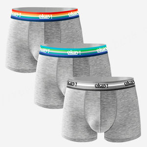 Ropa interior bóxer de fabricante para hombre, ropa interior de algodón de lujo de color arcoíris, ropa interior bóxer de tiro medio para hombre, algodón - Product Image 2