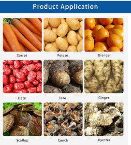 Precio de fábrica aguacate <span class=keywords><strong>feijoa</strong></span> lavadora limpiador níspero cereza rodillo lavadora albaricoque melocotón cepillo rodillo máquina de limpieza - Product Image 6