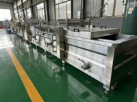 Ligne de production automatique de braisage à la vapeur pour viande marinée et fruits de mer