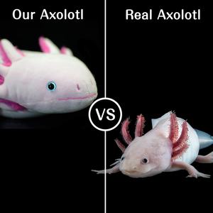 Axolotl peluche Animal relleno almohada Faux lindo Animal juguete <span class=keywords><strong>Ambystoma</strong></span> felpa almohada - Product Image 2