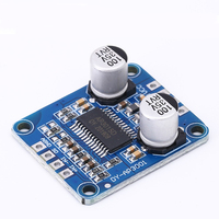 DY-AP3001 10W/20W/30W Mono Module Amplificateur De Puissance Classe D