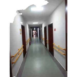 Non-slip Nylon <b>Shower</b> Room Outdoor Handicap Stainless Steel Grab <b>bar</b> - Product Image 4