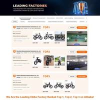 Vélo électrique tout-terrain EU Warehouse FM GT16 16 pouces 48V 250W/750W en alliage d'aluminium pour adultes