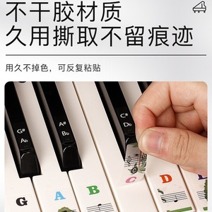 Autocollants pour touches de piano en PVC, notes musicales de dessin animé, adhésif imperméable pour clavier à 88, 61, 54 touches, aide à l'apprentissage - Product Image 5