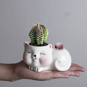 <span class=keywords><strong>Maceta</strong></span> <span class=keywords><strong>de</strong></span> Cerámica con Diseño <span class=keywords><strong>de</strong></span> Gato, Linda y Creativa, para Plantas Suculentas, <span class=keywords><strong>Maceta</strong></span> <span class=keywords><strong>de</strong></span> Cerámica Blanca Simple - Product Image 1