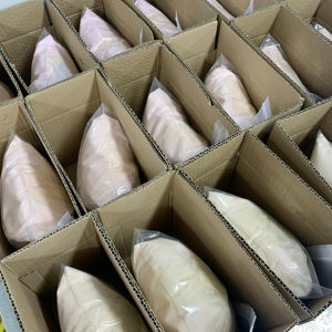 Fábrica Atacado Heat Cure Dentadura Acrílico Pó Natural Rosa e Branco Claro Acrílico Em Massa - Product Image 6