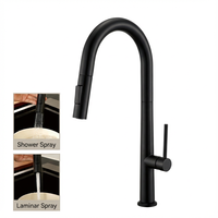 Robinet de cuisine en acier inoxydable noir de style européen, robinet mélangeur à poignée unique, robinet à trou unique avec douchette extractible